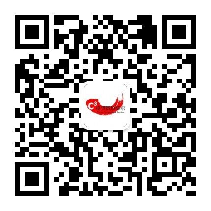 WeChat Account Wifö Wtal