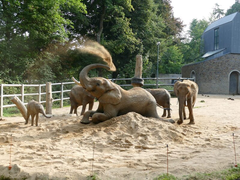 Zoo Wuppertal